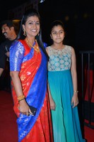 Celebs at Gemini TV Awards Photos